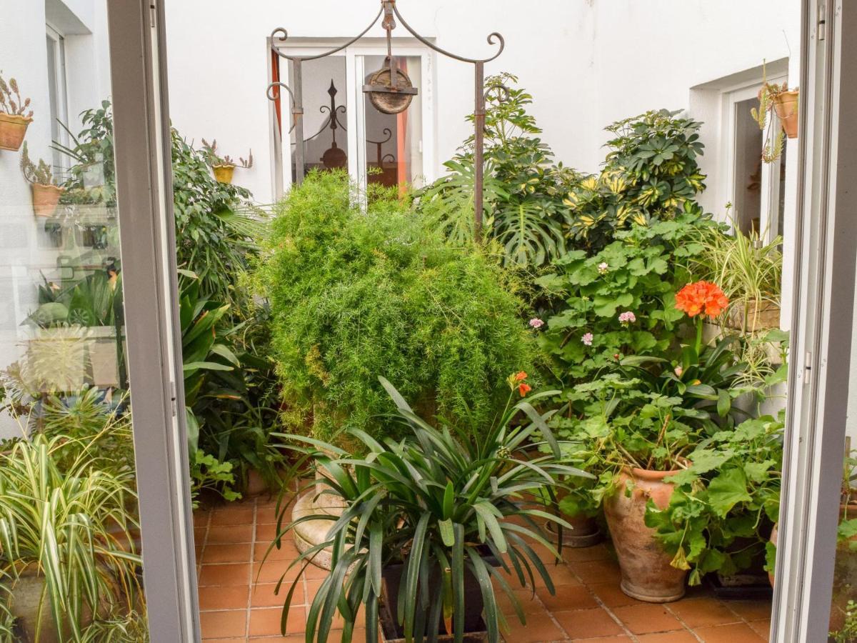 Villa Alexia - Apartment Coral - Puerto Pollensa מראה חיצוני תמונה
